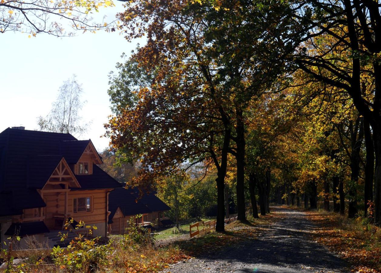Osada Sudecka Villa Lądek-Zdrój Buitenkant foto