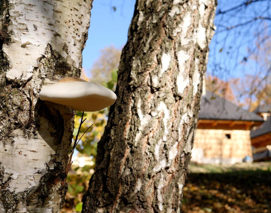 Osada Sudecka Villa Lądek-Zdrój Buitenkant foto